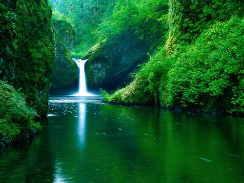   وَأَنبَتْنَا فِيهَا مِن كُلِّ شَيْءٍ مَّوْزُونٍ‏ Punch Bowl Falls, Eagle Creek Wilderness Area, Columbia River Gorge,Oregon